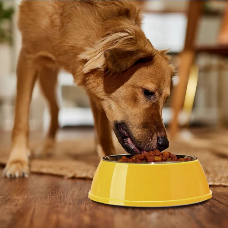 Pedigree 烤牛排和蔬菜风味成人营养干狗粮 2 件装 — 第 4/4 张图片