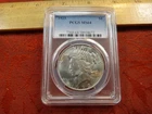 1923 United States Silver Peace Dollar $1 PCGS Graded MS64 - Free S&H USA