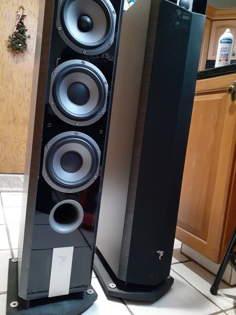 focal chorus 826v price