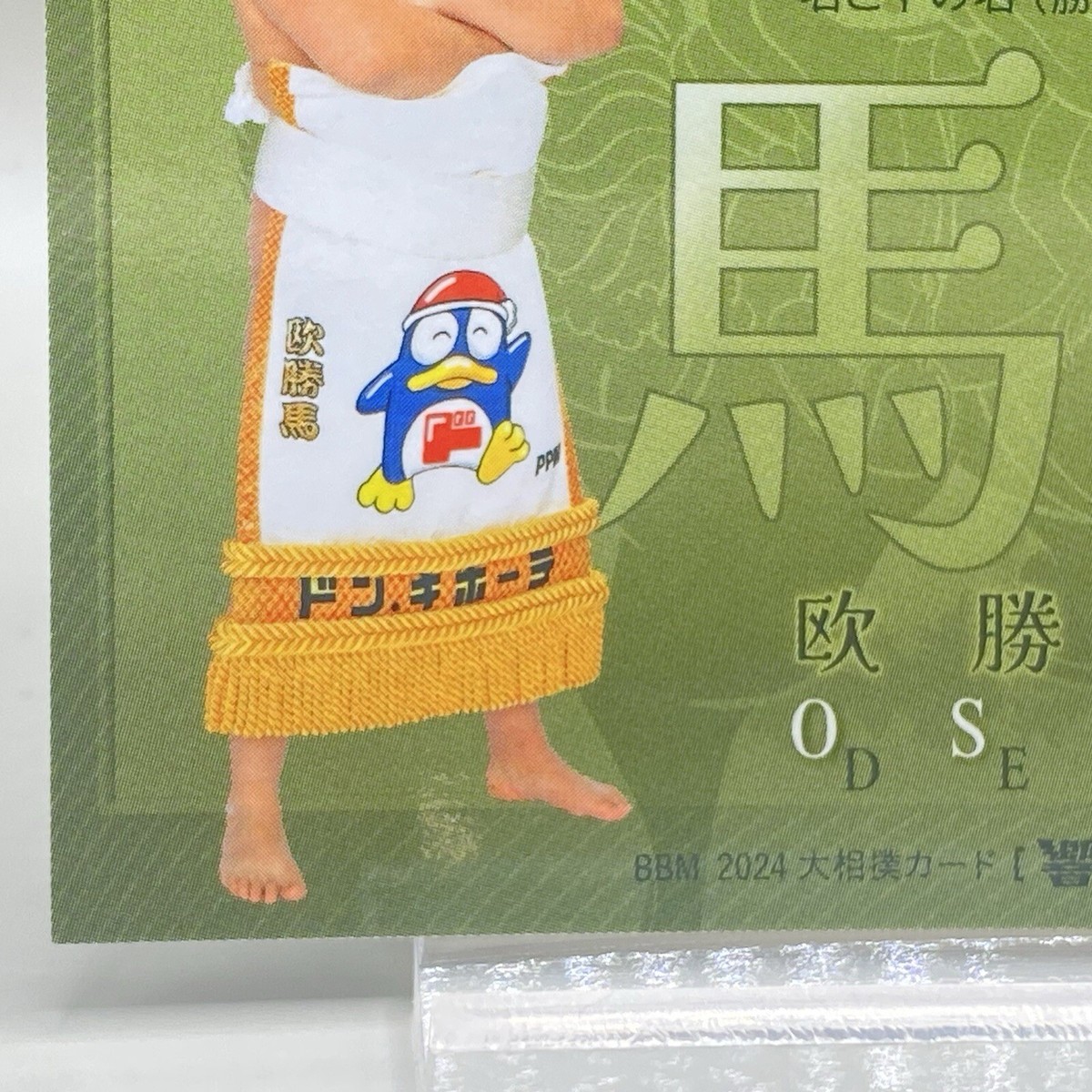 BBM Sumo Wrestling Card Degi Oshoma Don Quixote 2024 Japan