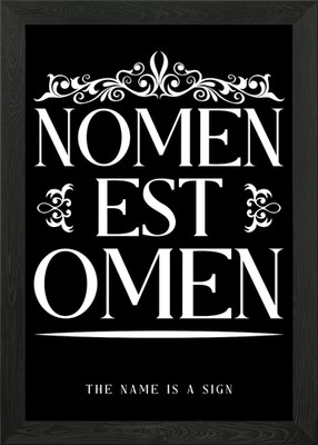 Nomen Est Omen Framed Wall Art Poster Canvas Print Picture