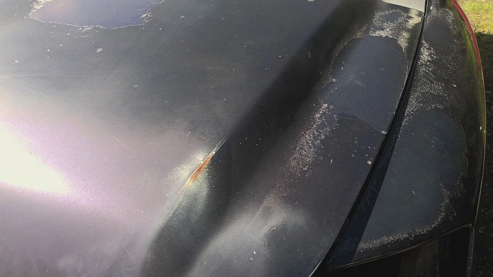 08 NISSAN ARMADA Hood (No Shipping) Foto 4 de 4