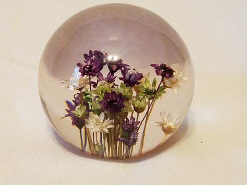 Pisapapeles acrílico Lucite flores reales artesanales MCM Daisygals Co. - 1 de 2 - Imagen 3 de 7