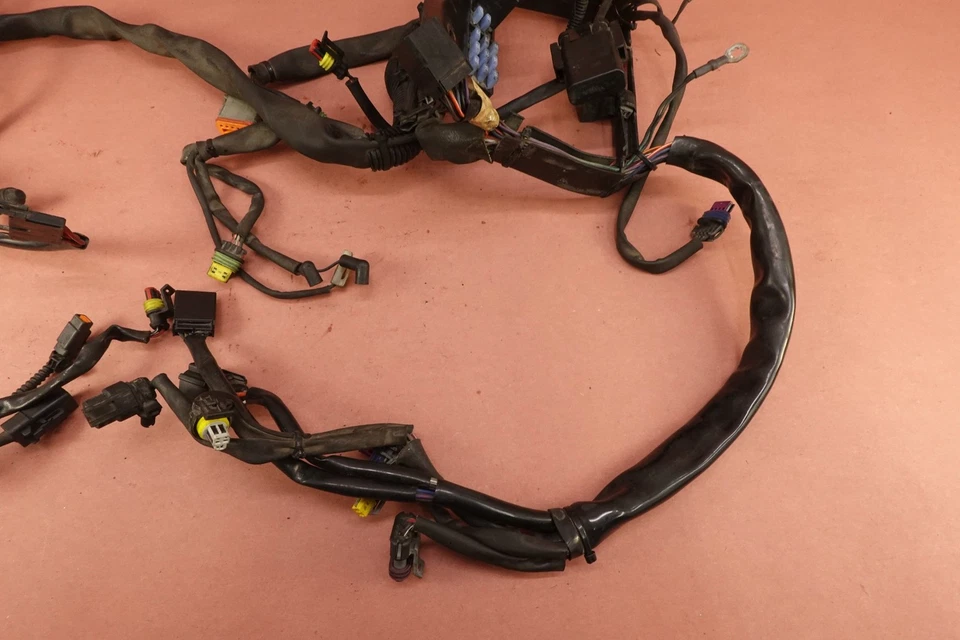 2007-2016 Harley Davidson Softail 豪华 FLSTN 主线束线织机 — 第 4/4 张图片