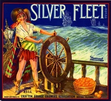 Mentone Crafton Pirate Girl Orange Citrus Fruit Crate Label Art Print