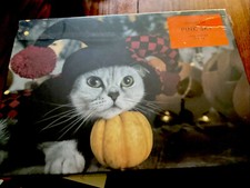 Halloween Jigsaw Puzzle  Scaredy Cat 1000 Pieces 19x26 Pink Sky NEW