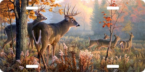Deer Hunting Trees Field Woods Buck License Plate Car Truck Tag - 第 1/1 張圖片