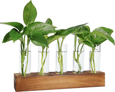 Plant Propagation Station, Plant Terrarium with Wooden Stand, Plants Pots for Hy