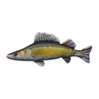 Fabulous Housse de coussin bleu Poisson Koi [40x40 cm] - Achat & prix