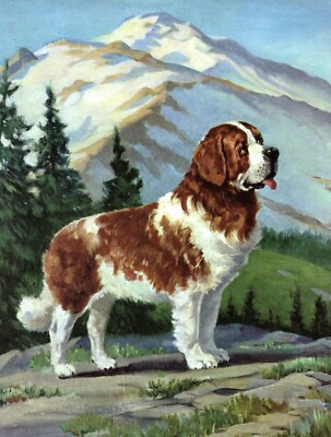 Vintage St Bernard Print Wesley Dennis Saint Bernard Wall Art Decor 5938u