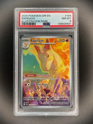 2025 Pokémon Dri EN Rapidash Illustration Rare #189 PSA 8