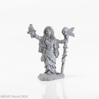 Reaper Hellrunners Raza Twinsight, Hex Witch female elf warlock 04020, metal