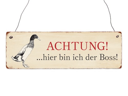 Holzschild Dekoschild ACHTUNG HIER BIN ICH DER BOSS ENTE Teich