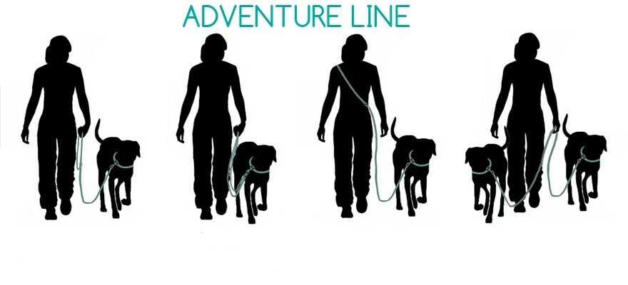 Dog Multi-functional Leash | adjustable length for recall distance work 2 dogs - Image 4 of 4