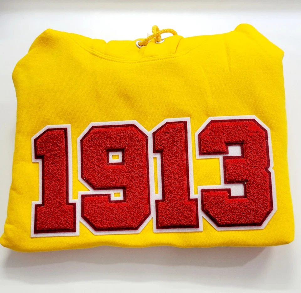 12" x 4.25" Delta Sigma Theta 1913 chenille and embroidered iron on patch - Image 3 of 4