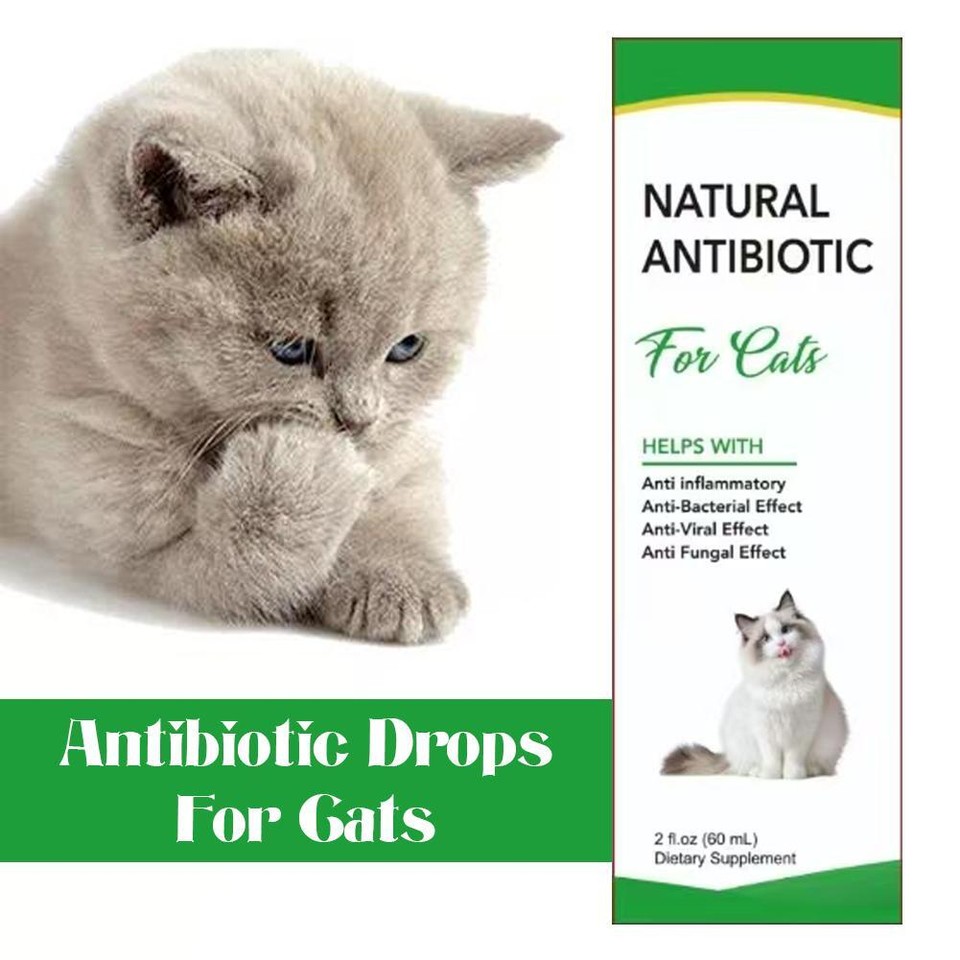 Natural antibiotic for cats pet supplements immune allergy relief
