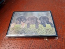 Labrador puppies magnet Rottweiler puppy fridge magnets dog magnet dogs rottie