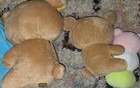 Picture 13 of 13