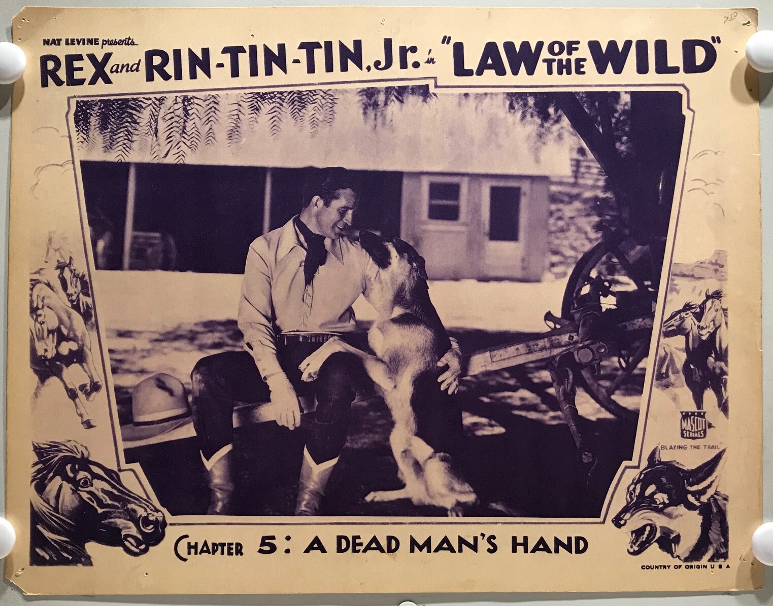 ORIGINAL SERIAL LOBBY CARD - LAW OF THE WILD (a) - 1934 - ft Rex and ...