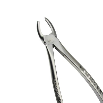 Primer Premolar Superior E Inferior | Anatomia Dental | Diente