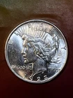 1923 D PEACE DOLLAR SEMI KEY CH BU  new year special start at $99  (AG $80 T OZ)