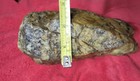 Olive Green / Yellow California Brecciated Jasper With Quartz 5+LBS Rough — photo 10