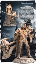 Dungeons and Dragons - Playable Character - Male Leonin Leonis - Paladin