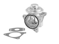 BorgWarner (Wahler) 7496D/1 Agr-Ventil FüR Audi Chrysler Dodge Mitsubishi Seat