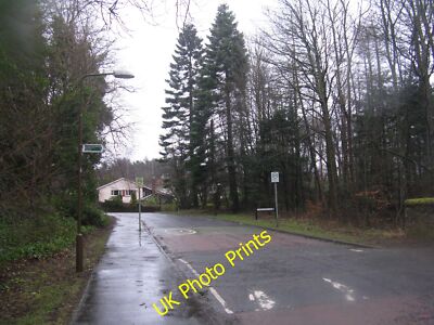 Foto 12x8 Woodlands Park, Deans gegen Ende einer Sackgasse von Smartish c2015