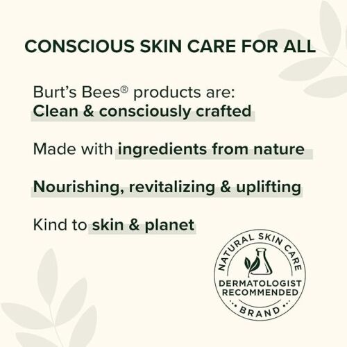 Burt's Bees Vanilla Bean Moisturizing Lip Balm 0.15oz - Pack of 2 - Picture 8 of 10