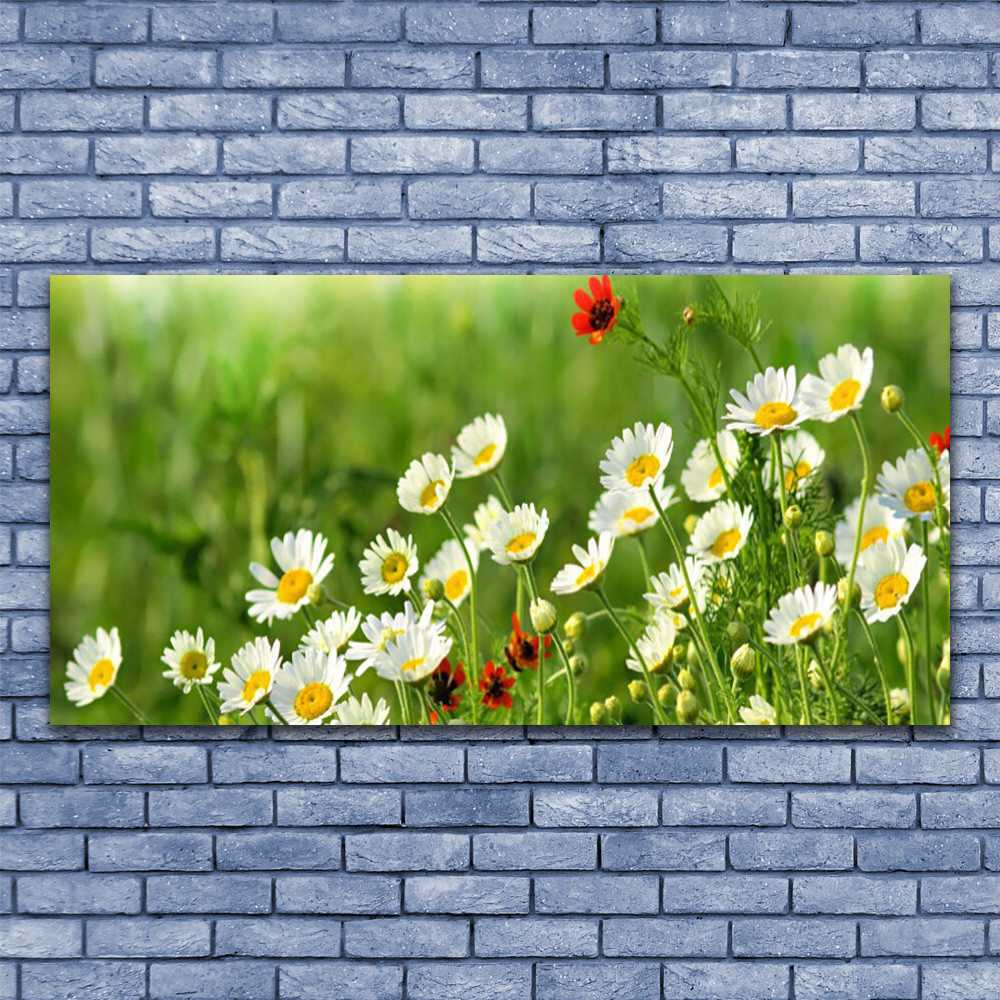 Photo sur toile marguerite 140x70 cm pour illuminer un salon moderne et chaleureux