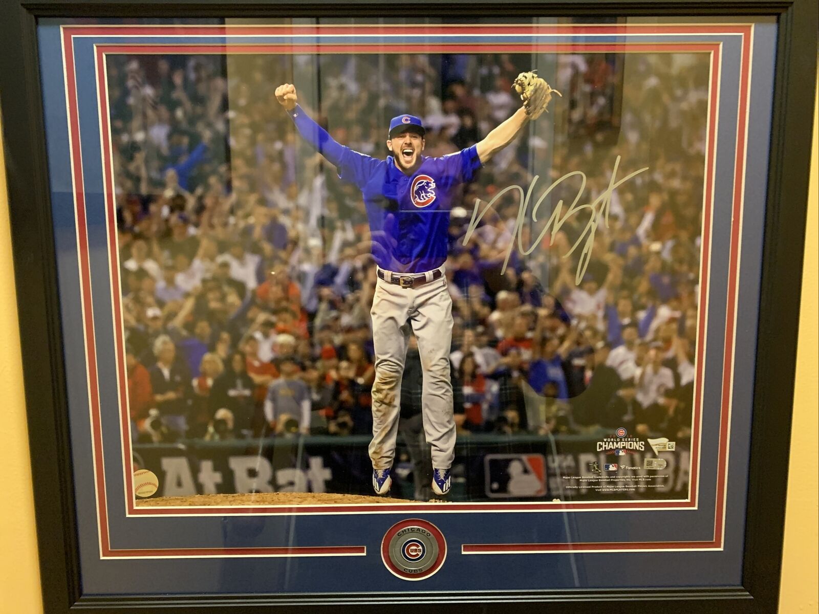 When it comes to Chicago Cubs World Series autographed memorabilia,  Fanatics has it covered