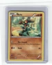 Riolu Black and White Promos Promo,Holo Pokemon Lightly played