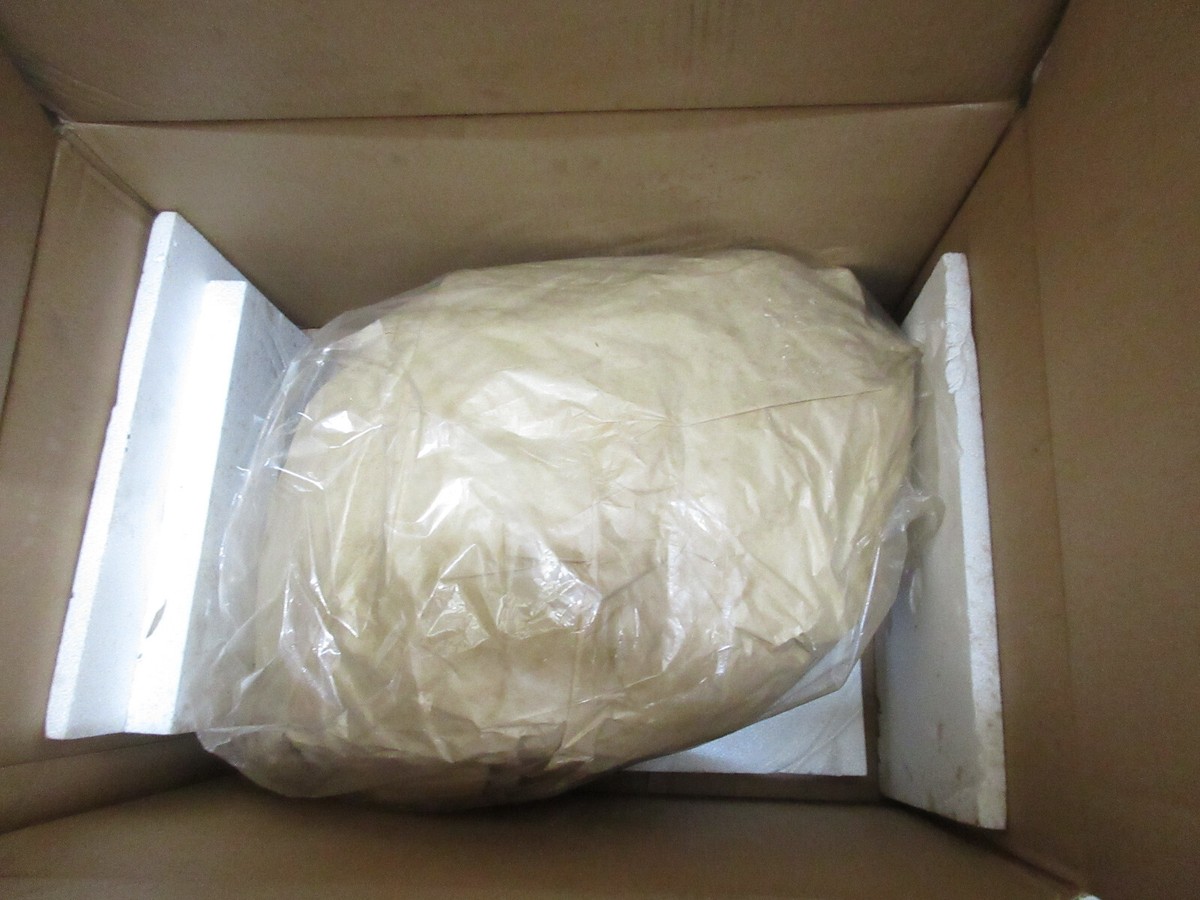 Kawasaki ZX900 ZX-9R Fuel Tank 2000-01 NOS Ninja ZX9R New
