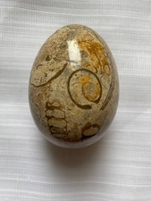 Himalayan Marble Fossil Stone Egg 7cm / 250g Fossil Inclusions