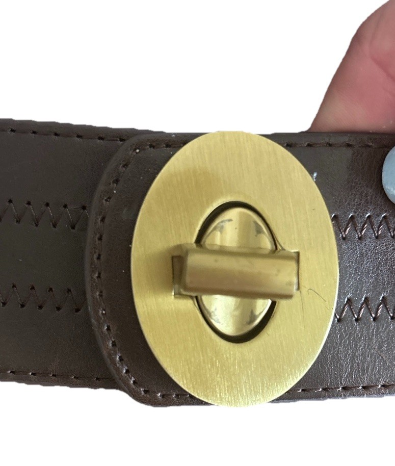 Leather Statement Belt Gold \
