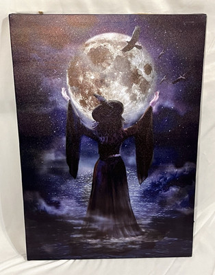 Halloween Witch Midnight Moon LED Light Up Wall Decor 2024 By Ashland RARE