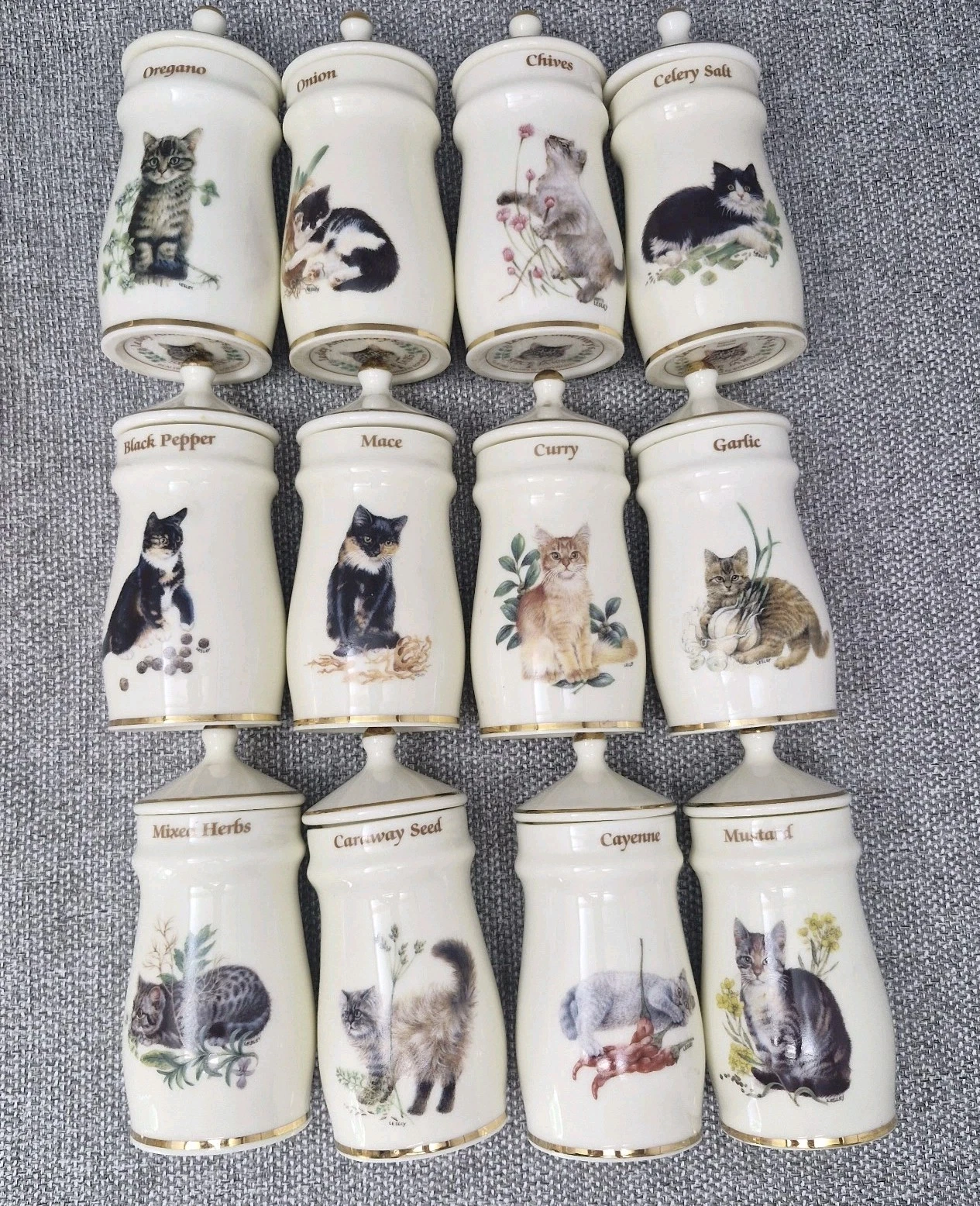Set of 12 Lesley Anne Ivory Cat Decorated Pottery Spice Jars