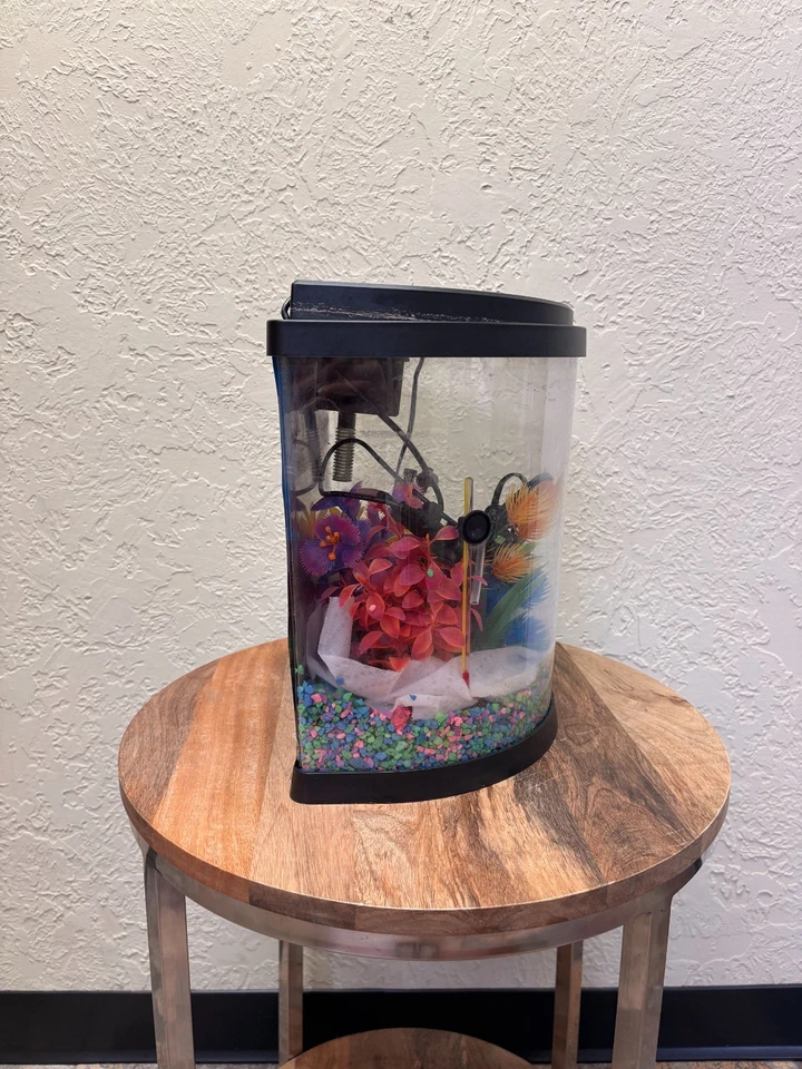 PECERA CON MUCHOS ACCESORIOS Foto 2 de 4