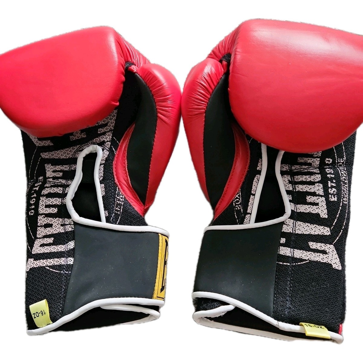 NEW EVERLAST 1910 PRO HOOK AND LOOP PREMIUM LEATHER BOXING GLOVES