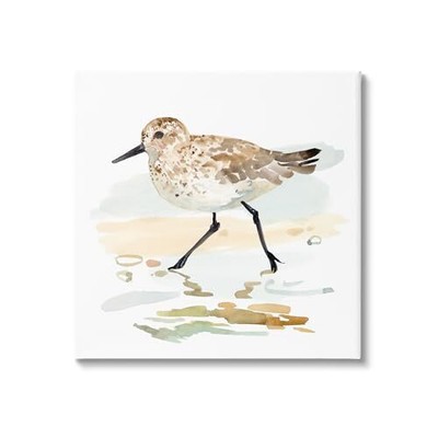 Sandpiper Stepping on Shore Canvas Wall Art by Victoria Barnes