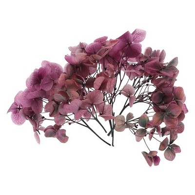 10g Mini Dried Hydrangea Flower Natural Pressed Flower Gradient Pink Gray