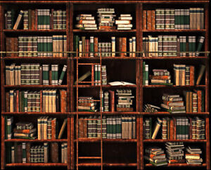 Library Rustic Shelves Backdrop Old Books Background Photography Studio Props Ebay