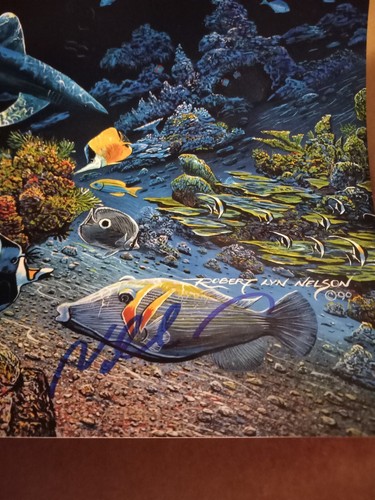 Robert Lyn Nelson "Three Worlds" Hand signed Glossy Poster Stunning Ocean Images - Picture 2 of 2