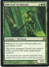 MTG: Morningtide: Gilt-Leaf Archdruid: Moderately Played Condition