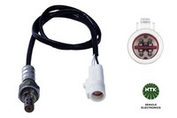Lambdasonde FÜR Ford C-MAX II (DXA/CB7, Dxa/Ceu), Ford Focus III - NTK 91461