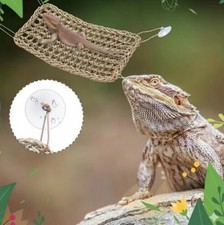 Natural Seaweed Rope Lizard Hammock  Lounger Set  Bearded Dragon, Gecko, Rep