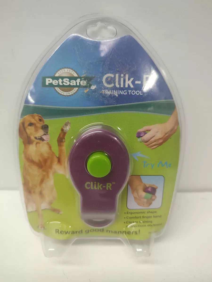 How to Clicker Train Your Dog