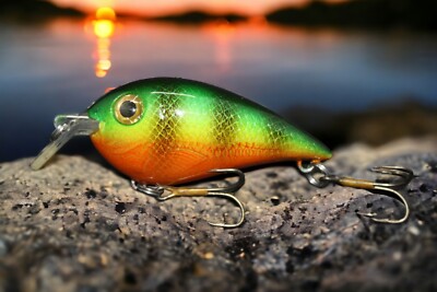 Shallow Wide Wobbler