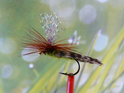 Trockenfliege '' Crystal Wing Para Caddis Olive ''  3er Set